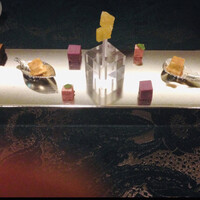 SALONE 2007 - 