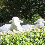 ル・シュクレクール - ル・シュクレクール