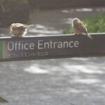 ル・シュクレクール - ル・シュクレクール