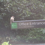 ル・シュクレクール - ル・シュクレクール