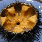 殻うにアップ写真