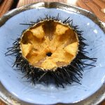 鮨大吉 - 殻うに