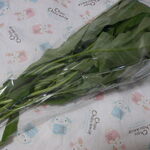 松原農園 - く～しんさい