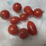 松原農園 - ミニトマト