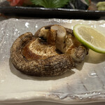 Robata Omoto - 