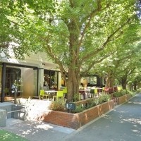 キハチ 青山本店 - 