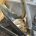 浦正鮨 - 私タイラギ貝です！