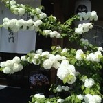 ぎお門 - 大小手毬