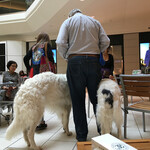 NORDSTROM EBAR ARTISAN COFFEE - 