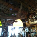 コーヒーランド - 天井もカオス