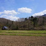 田んぼの向こう側に！