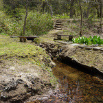 ラ・シャネッチャ - 庭は裏山に続いている