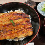 Unagi Kamogawa - 