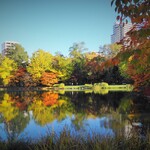 函館 開陽亭 - 中島公園