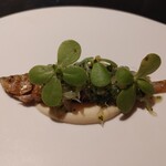 フロリレージュ - (2022/10 訪問)ししゃも。