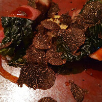 Terres de Truffes, Tokyo - 