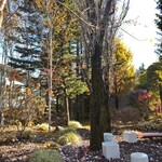 ブランジェ浅野屋 - 