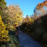 ブランジェ浅野屋 - 