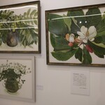 ブランジェ浅野屋 - ギャラリー