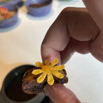 レスピラシオン - 