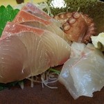 Sushi Ooze - 造り