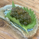 づぼら寿司 - 牡蠣シェル