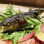 Grilled sweetfish with salt