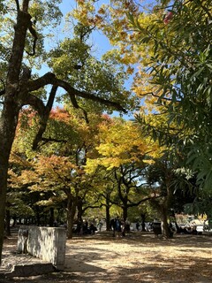 Musubi Musashi - 修学旅行生はこれからお弁当の時間です