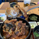 Hitsumabushi Nagoya Binchou - 上ひつまぶし