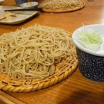 手打そば 菊谷 巣鴨本店 - もり蕎麦
                                