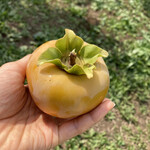 福田グリーン農園 - 