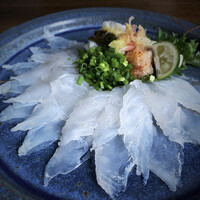 長崎県産　天然本アラ(クエ)の薄造り