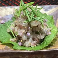 縞鯵の梅じそなめろう