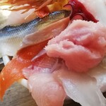 おさかなセンター イチノイチ - こはだ サーモン はまち（鰤？）びんちょう 鯛？ びんとろ