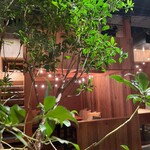 the Light. - 1st Floor Loft