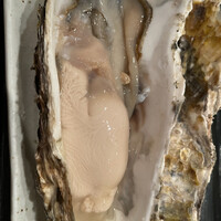 寿し心 なかむら - 