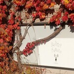 CERCLE PLUS Miyota - 갤러리도