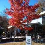 セルクル プリュス - 