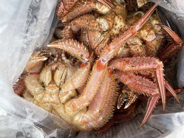 平初鮮魚店 - 女川（その他）の写真