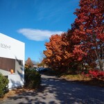 CERCLE PLUS Miyota - 재미있었습니다..