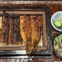 にょろ助 銀座 - 