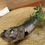 チャコール クッキング ツクバ マイス - 料理写真:北海道産イワシとニンニクのオイルコンフィ