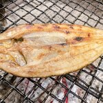 Rausu-grown true mackerel
