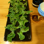 (株)山武精肉店 直営 やきにく屋 - アイスプラントの刺身