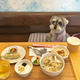 犬猫同伴OK(大型犬含む)※一部時間帯NG※席に制限あり