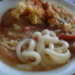 鴨池・垂水フェリー 南海うどん - うどん アップ