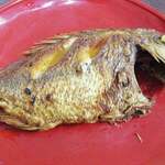 サルシーナハラルフーズ - 