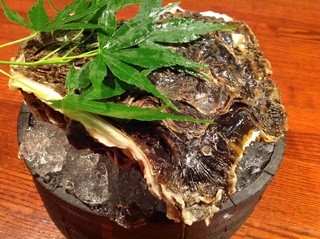 h Shunno Aji Ichi - 徳島の特大岩牡蠣