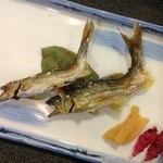 人肌の宿　川金 - 若鮎