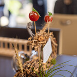 プレゼンテ スギ - 2022.11 定点（トマト飴）